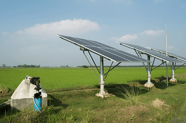 Maharashtra State Electricity Distribution Company Ltd. (MSEDCL)